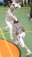 Click here
